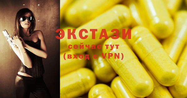 ECSTASY Богданович